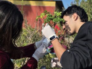 Las escuelas porteñas se preparan para una gran Jornada Ambiental: educación, conciencia y acción frente a la crisis climática