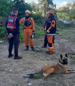 Kaia, la heroína de cuatro patas que ya está lista para salvar vidas