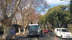 Llegó el frío y con él la poda más intensa del año: así cuida la Ciudad el arbolado urbano
