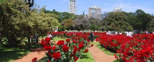 El Rosedal de Palermo se poda y regala un pedacito de jardín a los vecinos 🌹✂️