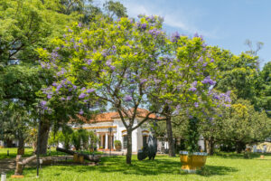 Primavera en Saavedra: una tarde para bordar, rapear y bailar entre jardines
